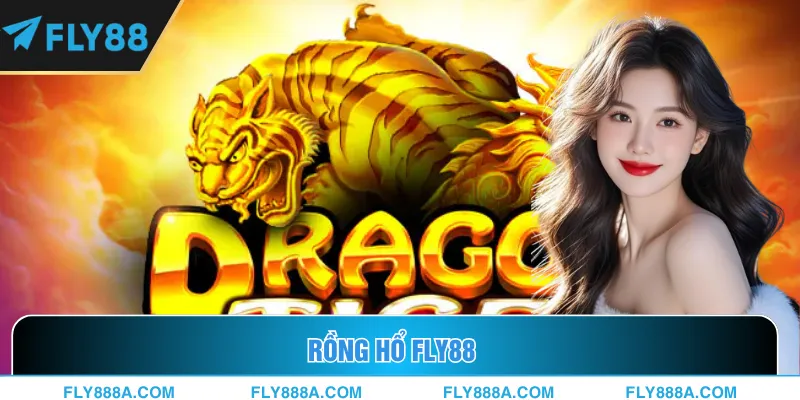 Rồng Hổ Fly88